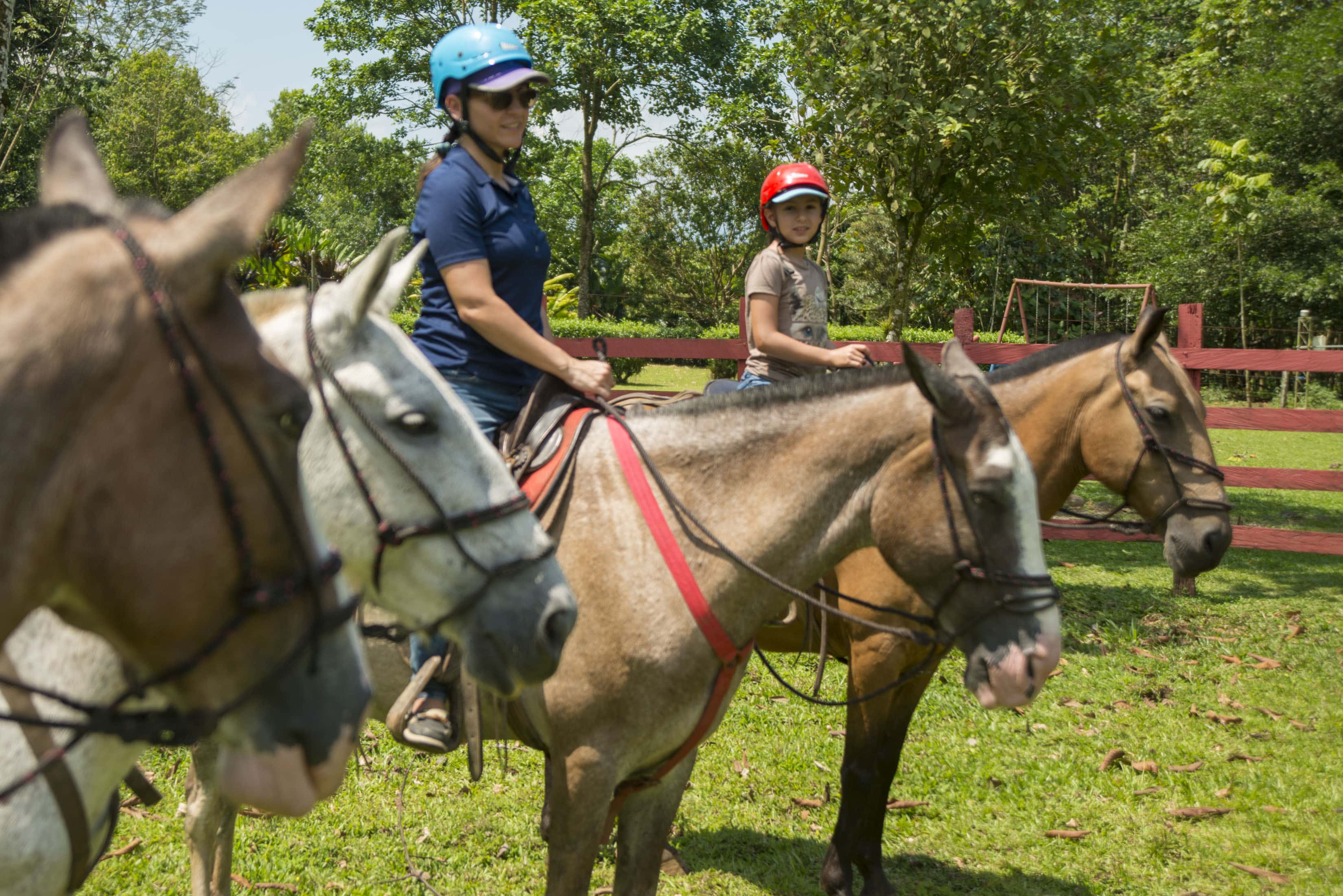 Horse Ride Pozo Azul